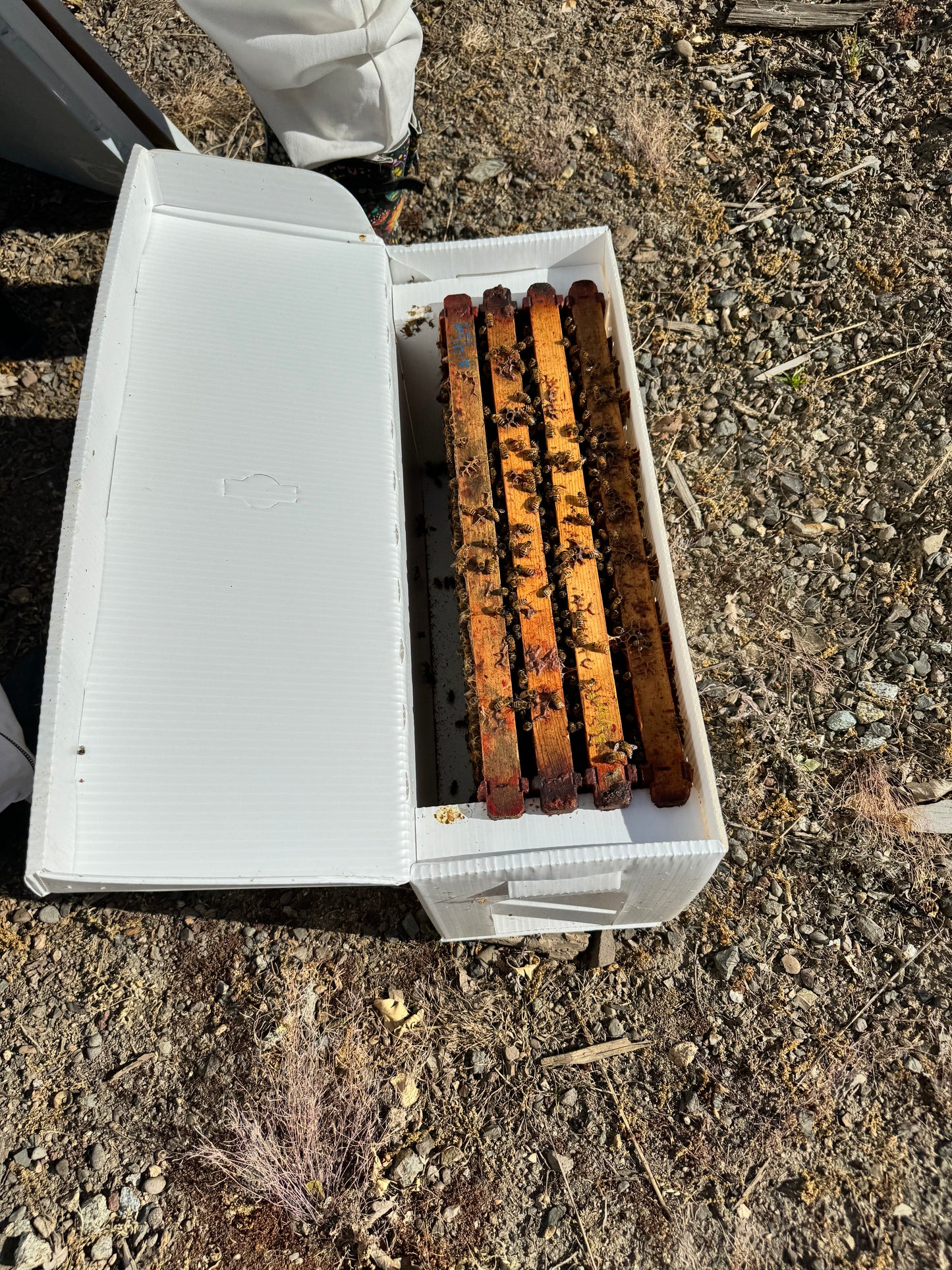 2025 - NUC Reservation